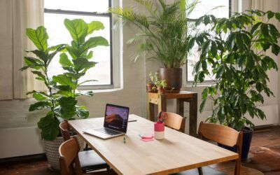 Cómo convertir tu oficina en un espacio de trabajo flexible